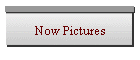 Now Pictures